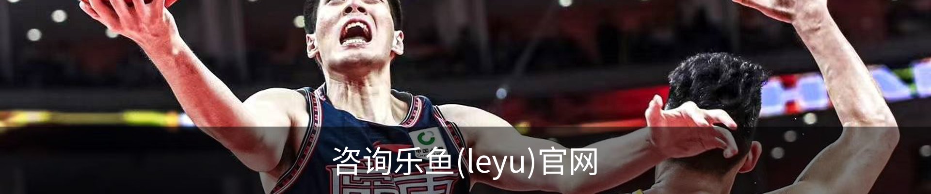 咨询乐鱼(leyu)官网